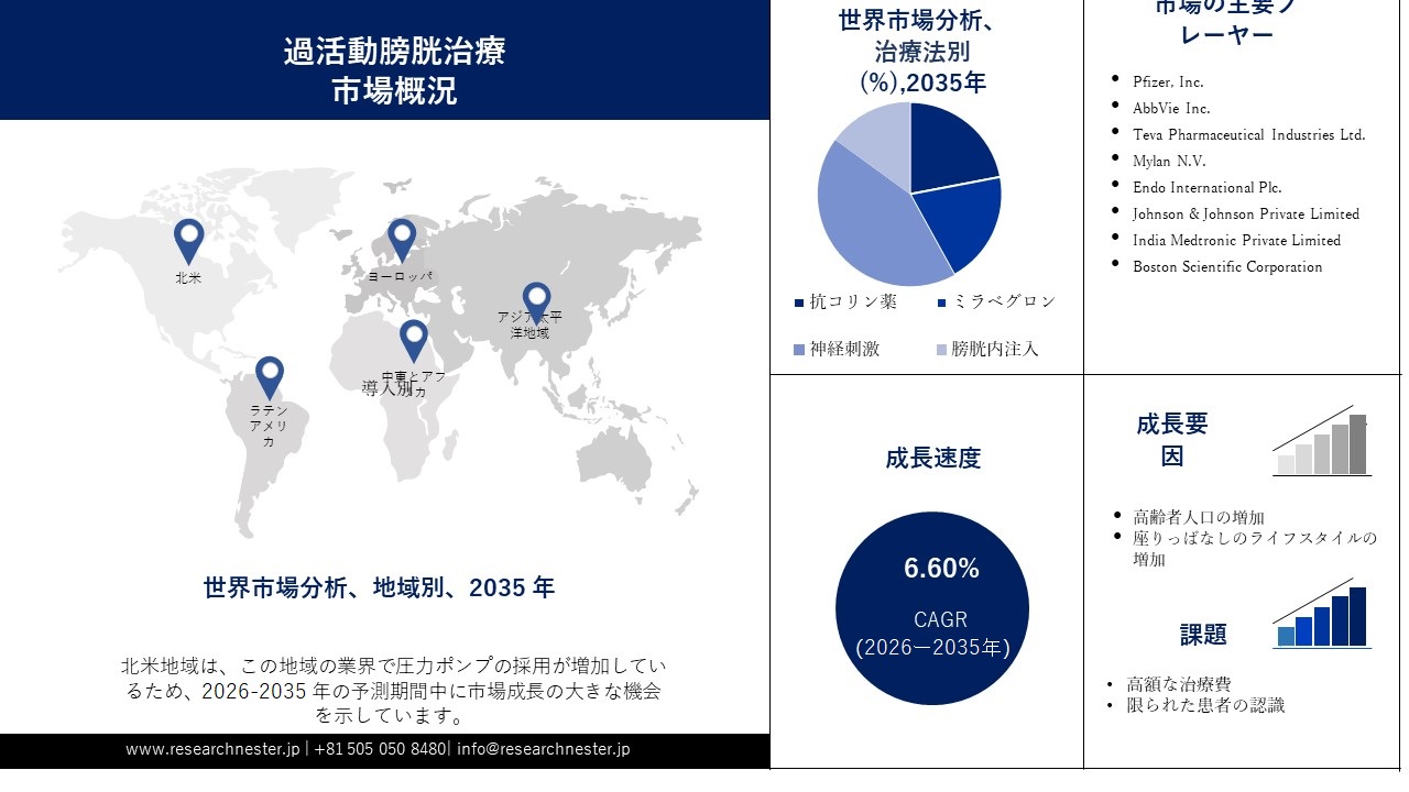 過活動膀胱治療市場概要